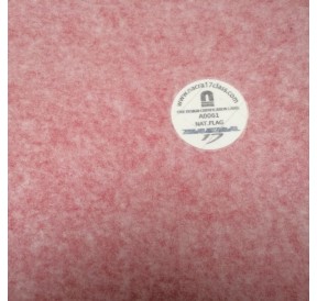 Nacra 17 Class Country Flag with Class Fee