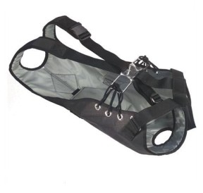 Harnais Banks Lumbar avec un crochet RWO QRH