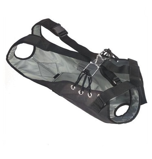 Harnais Banks Lumbar avec un crochet RWO QRH