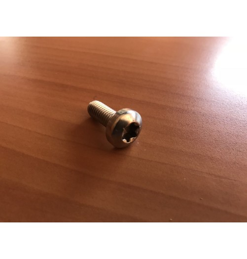 Stainless Steel A4 Screws M8 20mm Torx Pan Head