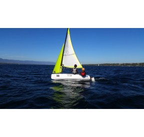 Topper Topaz Taz Race Mylar