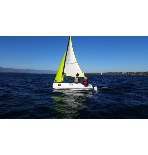 Topper Topaz Taz Race Mylar