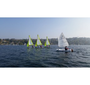 Topper Topaz Taz Race Mylar