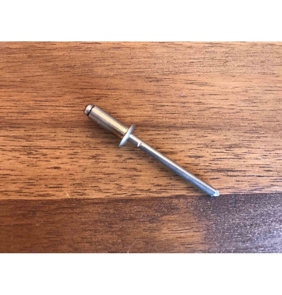 Stainless Steel Rivet 4.8*16mm