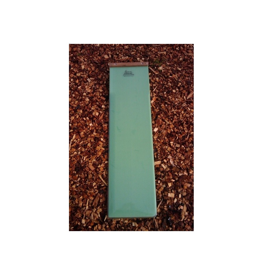 Far East Dérive Championship Optimist