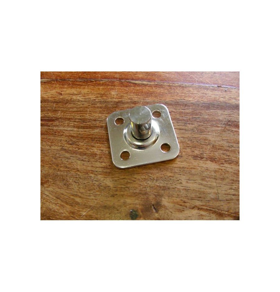 Pontet Pivotant Inox 30mm