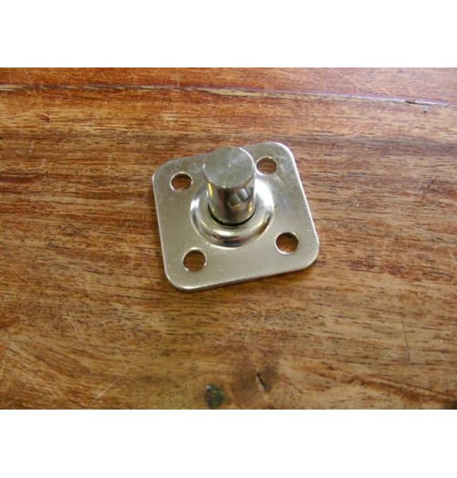 Pontet Pivotant Inox 30mm
