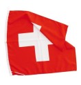Swiss Flag 50*50cm