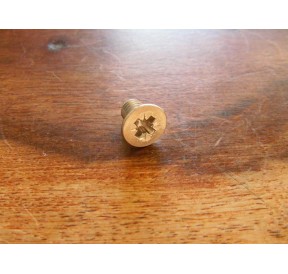 Vis Metrique Inox A2 M4 30mm Pozidriv Tête Fraisée Plate