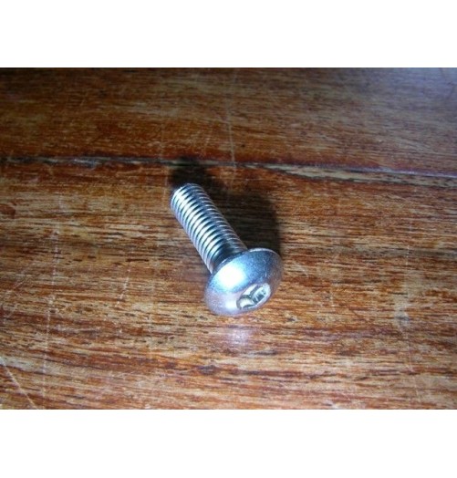 Vis Metrique Inox A2 M5 20mm Allen Tête Bombé