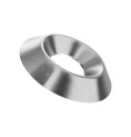 Stainless Steel Cup Washer Plain A4 M6 16*3.5mm