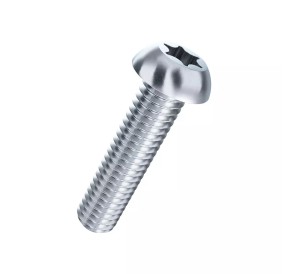 Stainless Steel A2 Screws M5 60mm Torx Pan Head A2M5TPH60 H2O Sensations