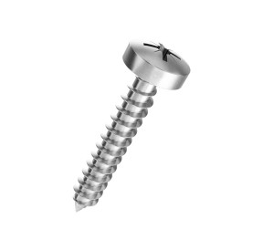 Vis Tole Inox A2 4.2*13mm Pozidriv Tête Cylindrique Bombée A2PZTCB4213 H2O Sensations