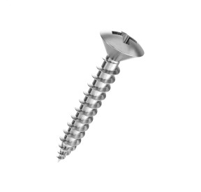 Vis Tole Inox A2 4.8*22mm Pozidriv Tête Fraisée Bombée A2PZTFB4822 H2O Sensations