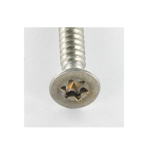 Stainless Steel A2 Metal Screw 4.2*50mm Torx Countersunk Flat Head A2TTFP4250 H2O Sensations