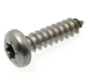 Stainless Steel A4 Metal Screw 4.8*38mm Torx Pan Head A4TTB4838 H2O Sensations