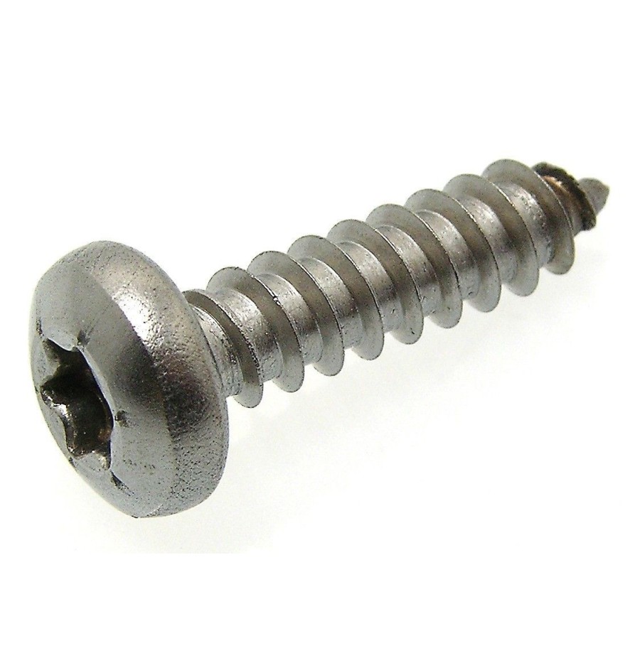 Stainless Steel A4 Metal Screw 5.5*19mm Torx Pan Head