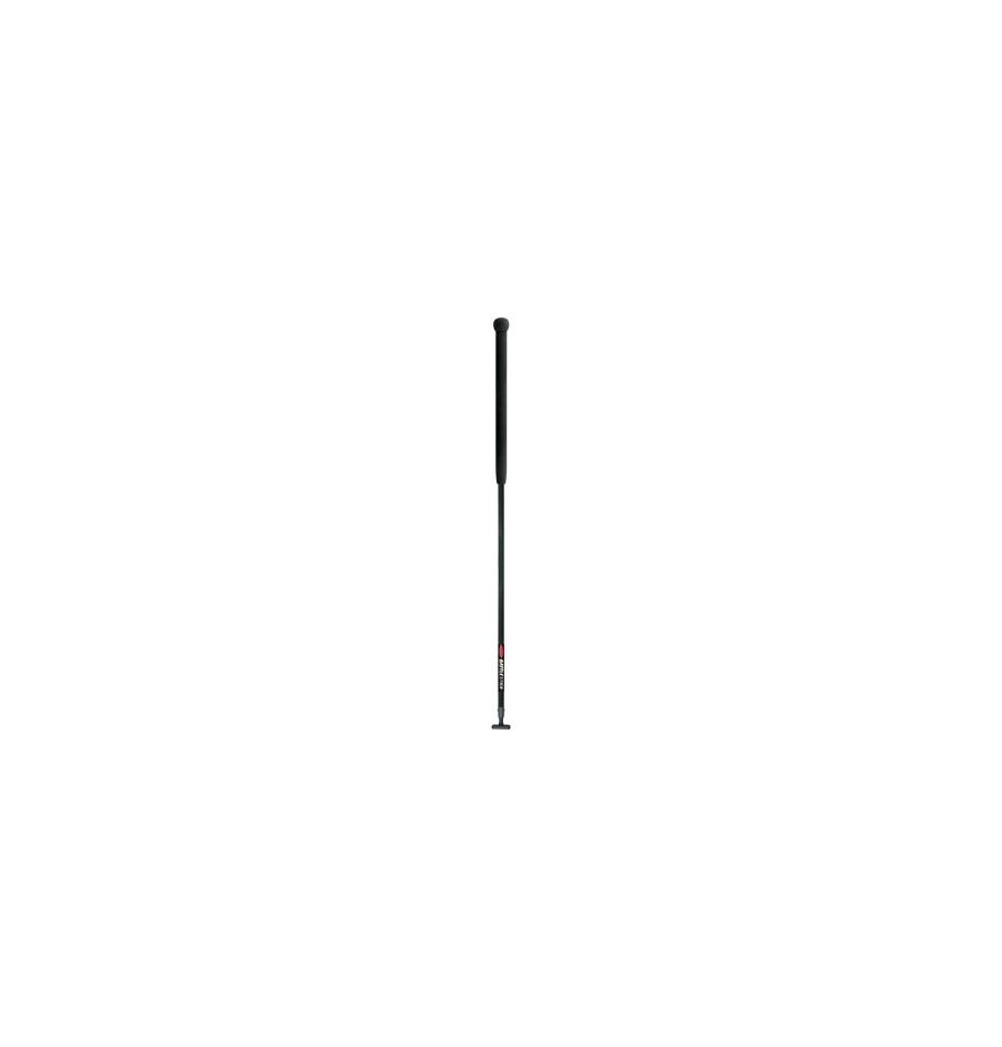 Ronstan Batlestick Stick Aluminium Longueur Fixe 125cm