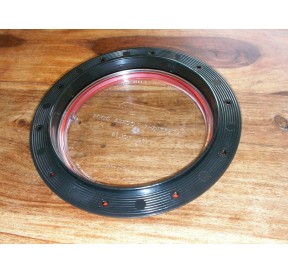 Whale Trappe de Visite Etanche Transparent