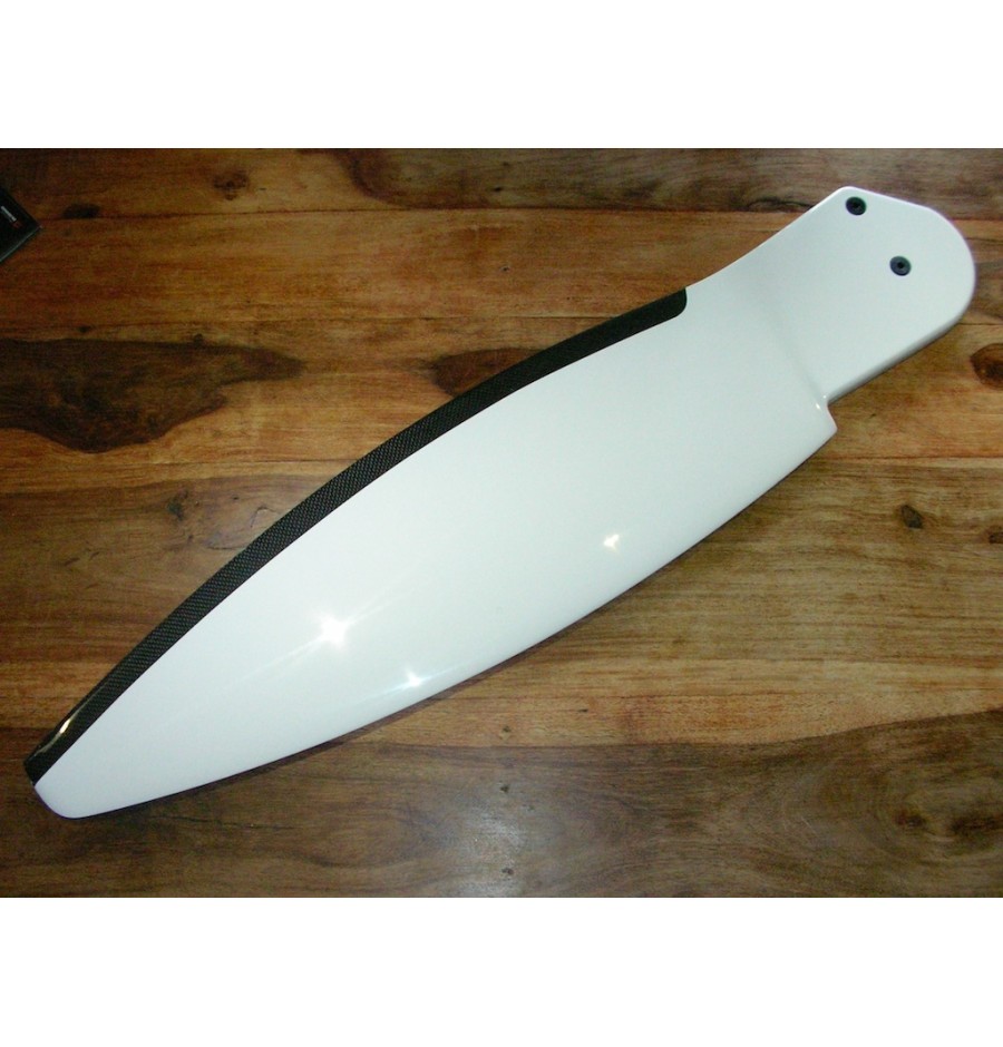 Nacra 17 MK1 F18 F20 Carbon Lame Safran Carbone