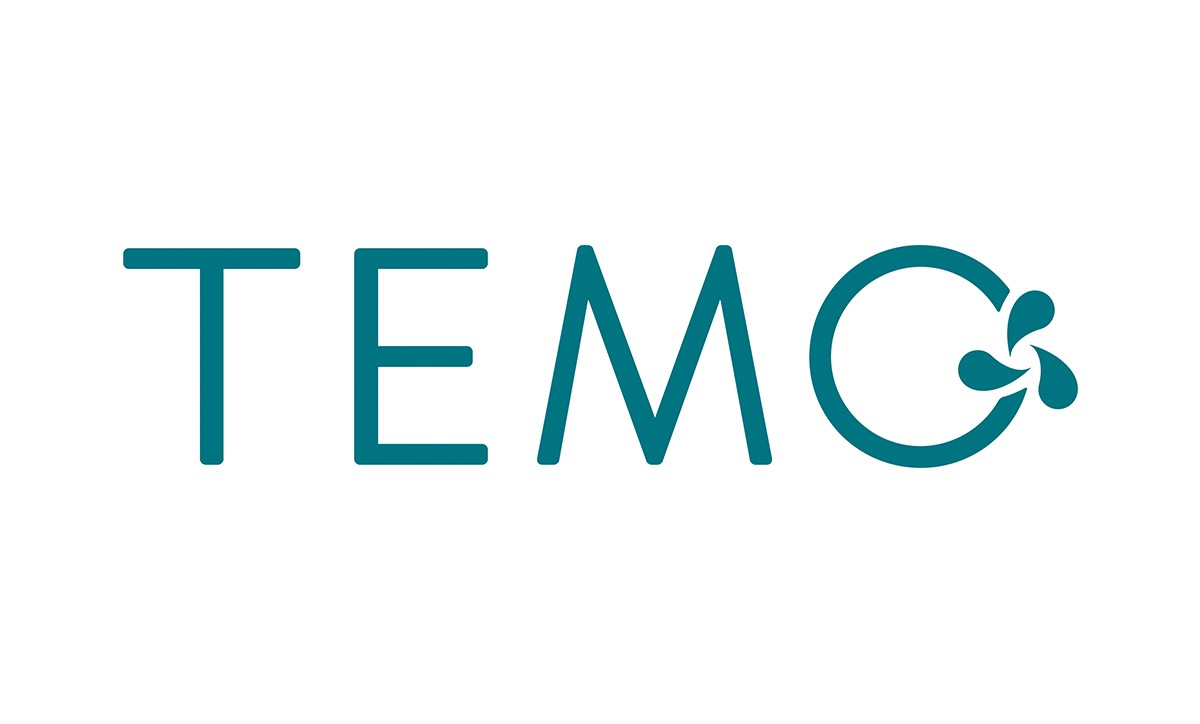 Temo SAS